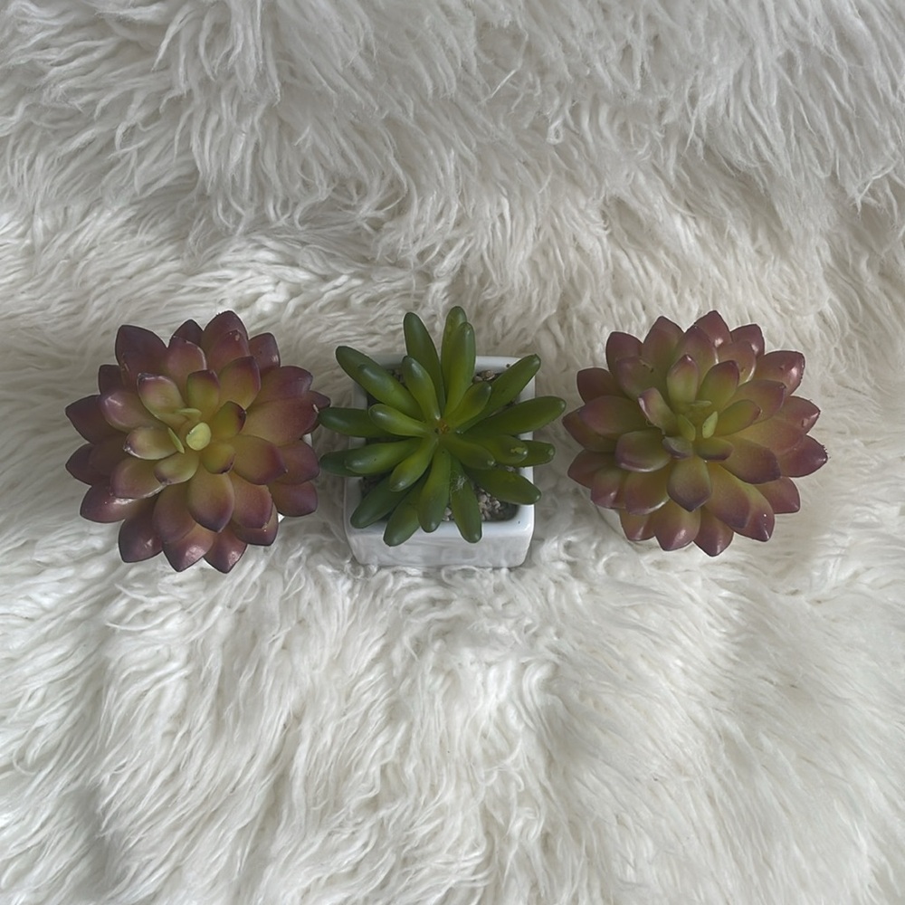 Small Fake Plants - Picture 2 of 8